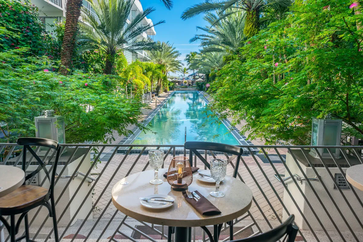 Infinity pool at The National Hotel Miami Beach surrounded by palm trees, viewed from a terrace dining table.