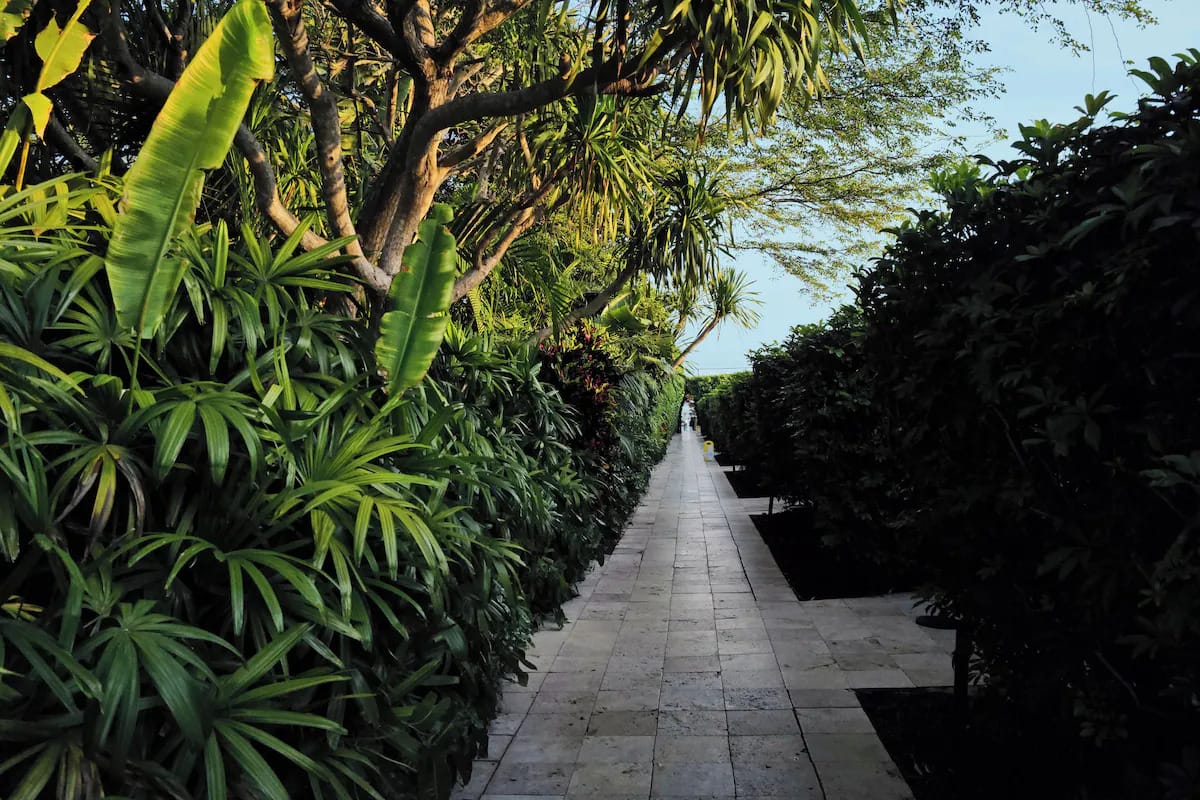 The Standard Spa, Miami Beach – A Serene Wellness Oasis in Miami