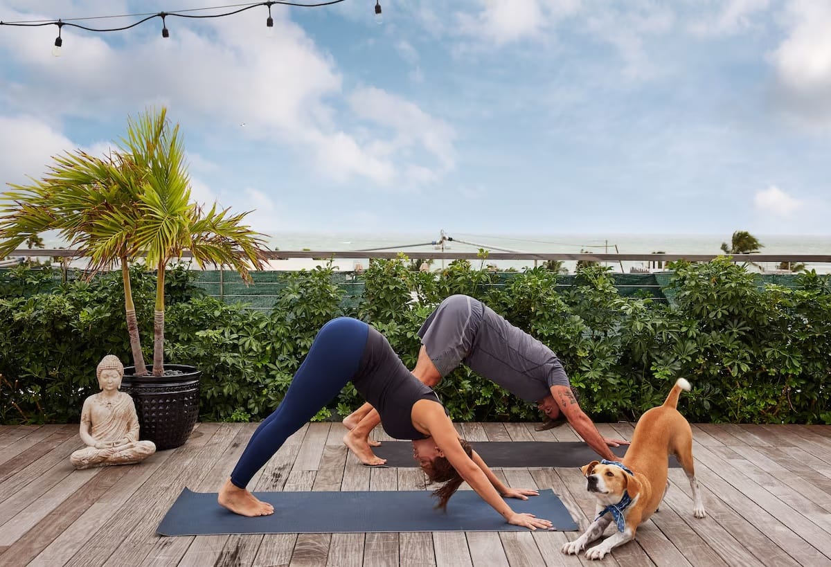 Rooftop yoga session at The Betsy Hotel in South Beach, showing guests practicing wellness and fitness with ocean air views and a pet-friendly atmosphere.