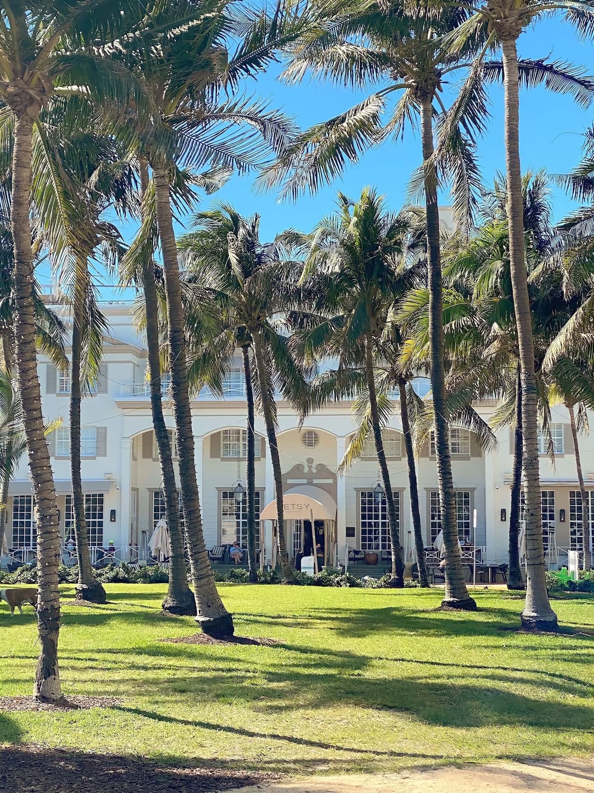The Betsy Hotel at the quiet northern end of Ocean Drive in South Beach — calm beachfront location away from nightlife crowds